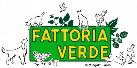 Fattoria Verde - FATTORIA VERDE